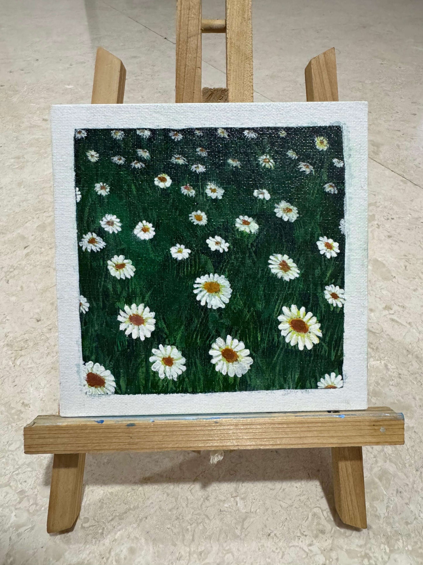 Daisy Dreams