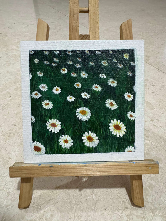 Daisy Dreams